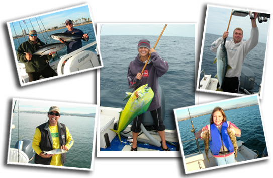 Tackleman Fishing Charters, Calico Bass