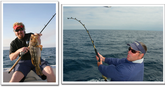 Tackleman Fishing Charters, Calico Bass