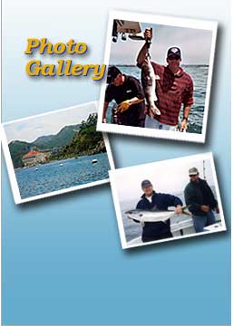 Tackleman Fishing Charters, Pictures of Fish