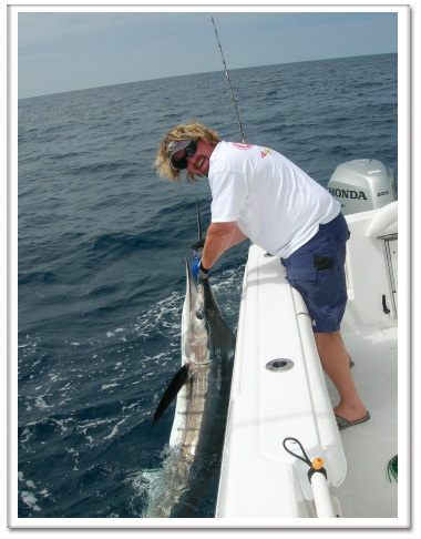 Tackleman Fishing Charters, Picture of a Striped Marlin